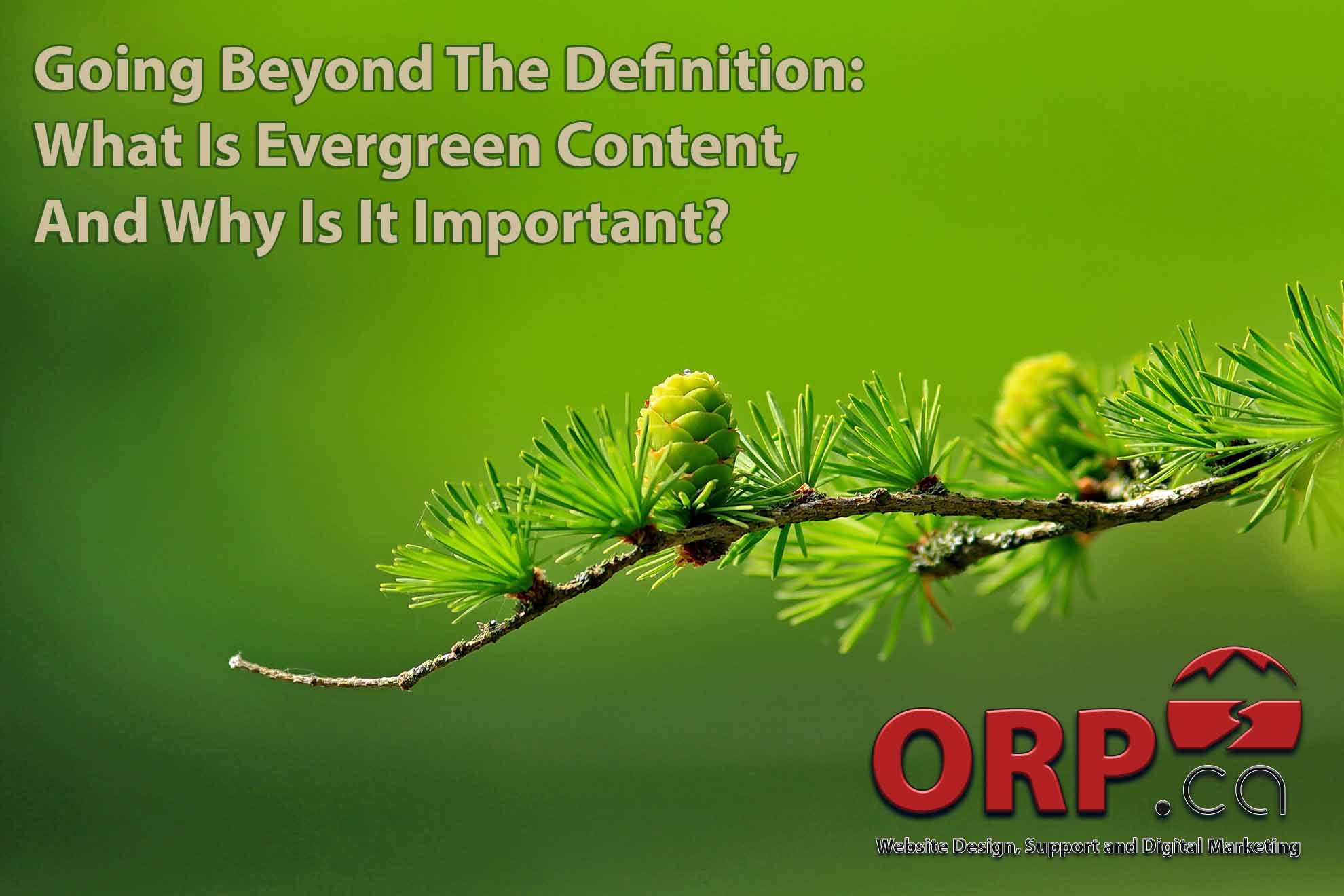Going Beyond The Definition What Is Evergreen Content And Why Is It Important