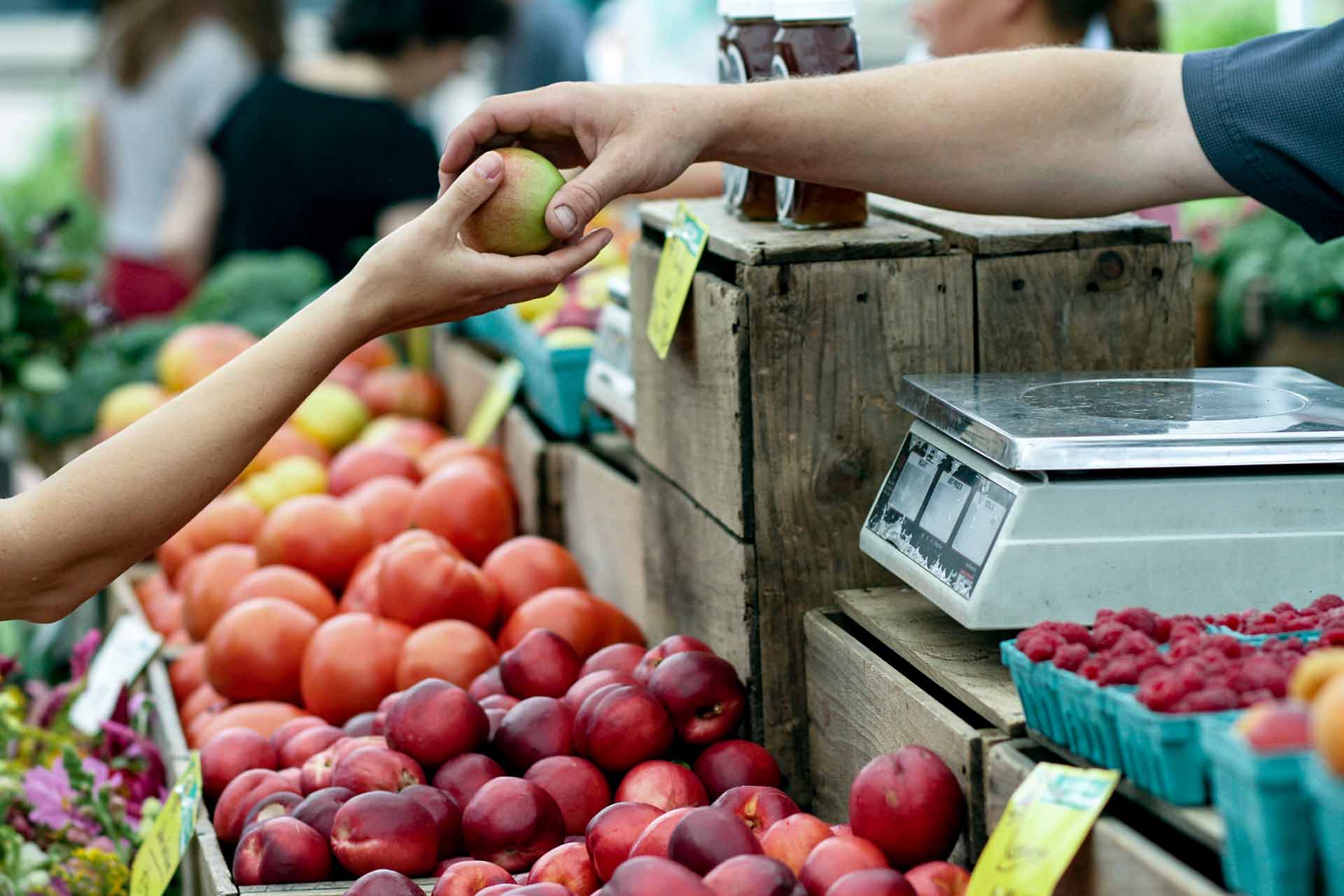 The Importance of a Professionally Designed and Updated Website for Drawing Clients to Your Small Business